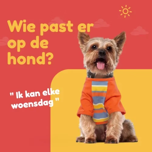 "Vakantiewerker onderhandelt met klanten voor klusjes zoals hondenoppas door meerdere biedingen te ontvangen en de hoogste prijs te kiezen, waardoor meer verdiend kan worden voor hetzelfde werk."